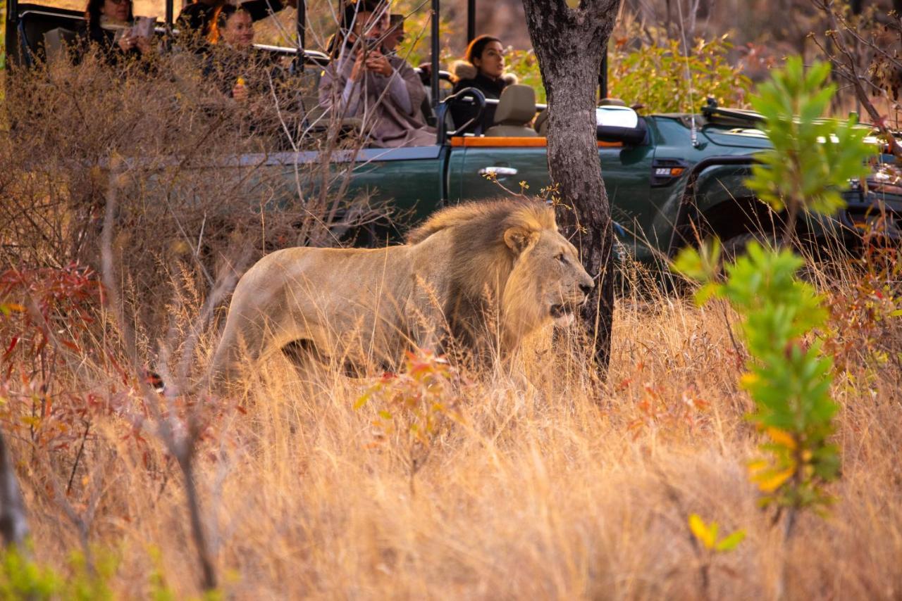 Nungubane Game Lodge Welgevonden Game Reserve Eksteriør billede