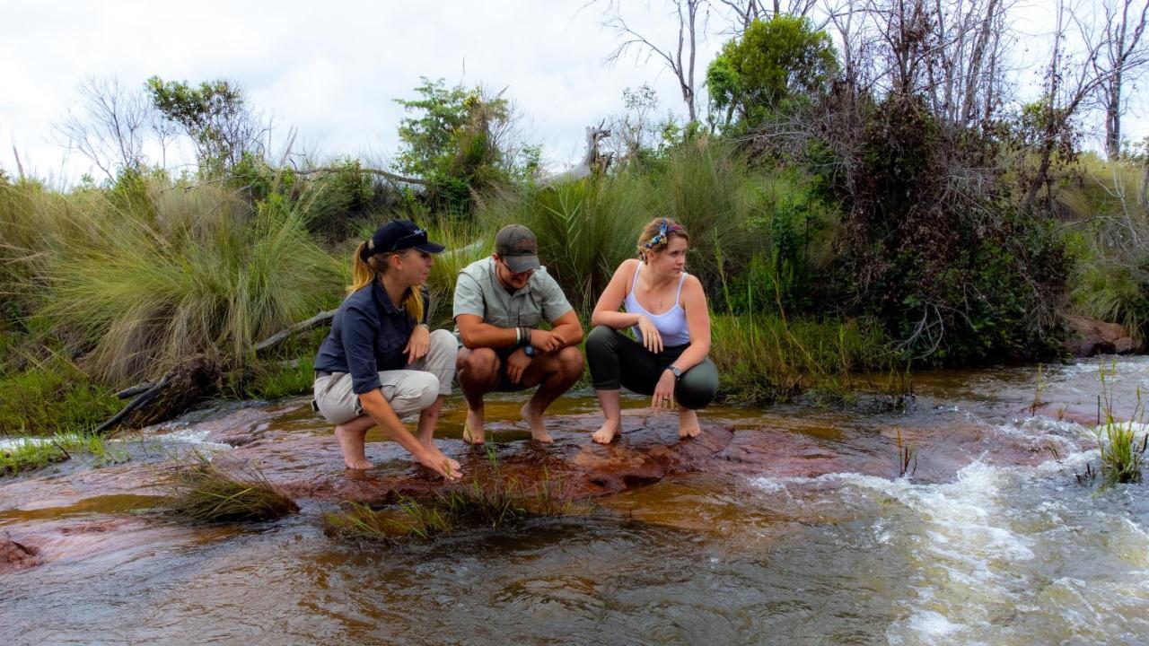Nungubane Game Lodge Welgevonden Game Reserve Eksteriør billede